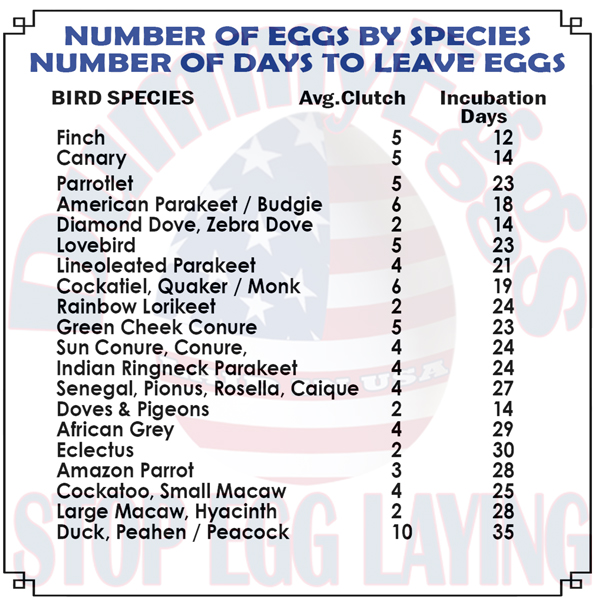 A chart titled Number of Days to laying Eggs by Species lists bird species, their average clutch size, and incubation days. species include finch, canary, parrotlet, and others, with varying clutch sizes and incubation periods.